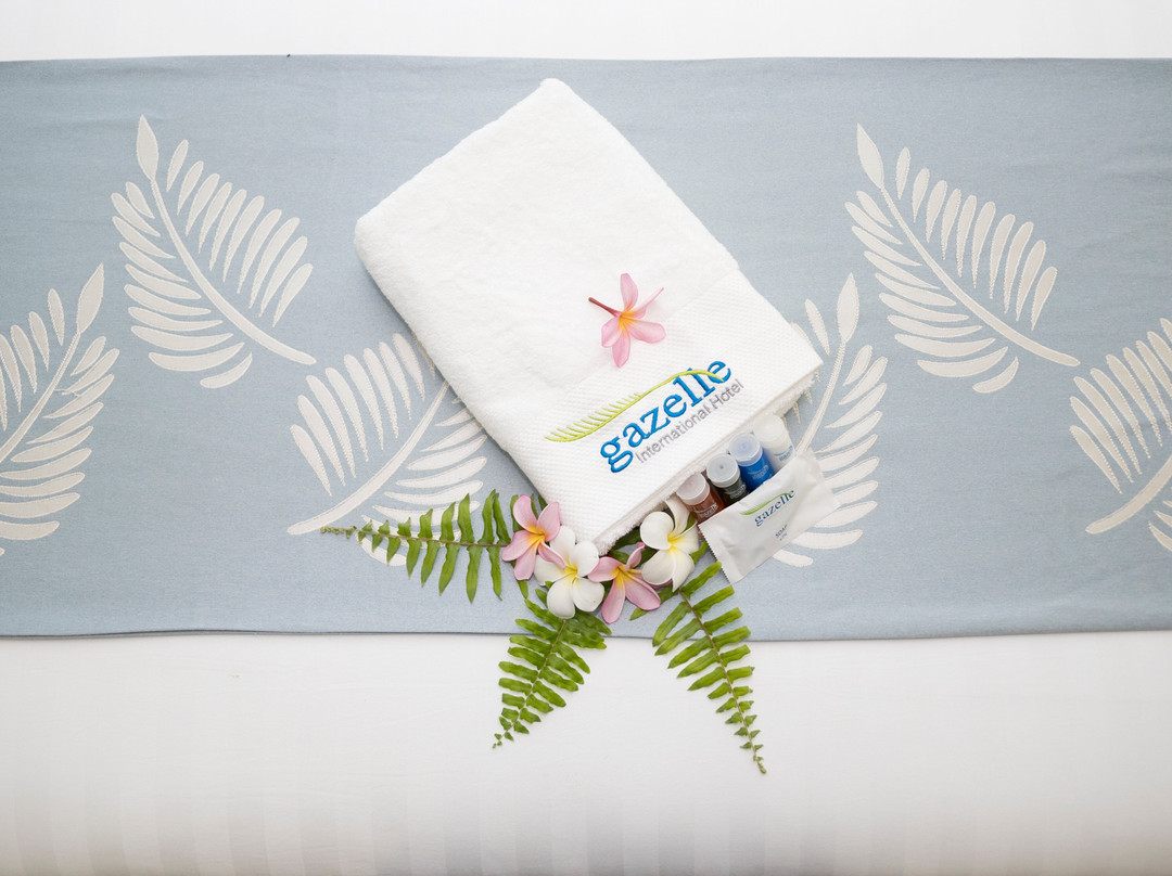 Gazelle International Hotel主图