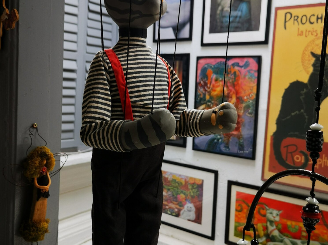 Meowseum Museum of Cat Art & Craft-乔治城必去景点