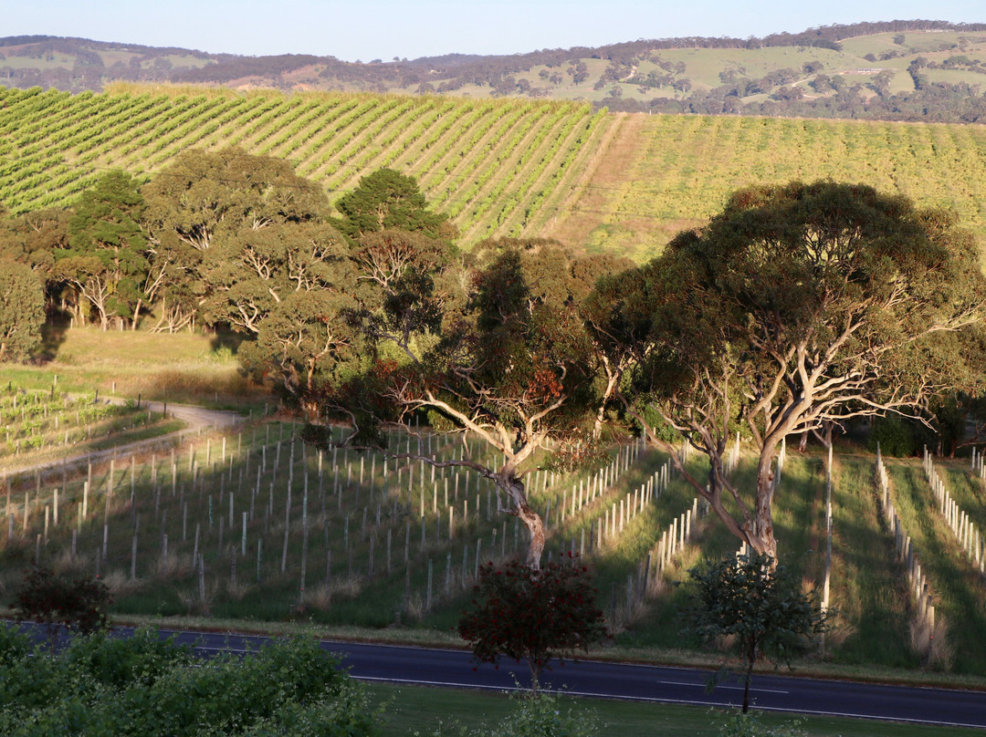 The Vineyard Retreat McLaren Vale主图