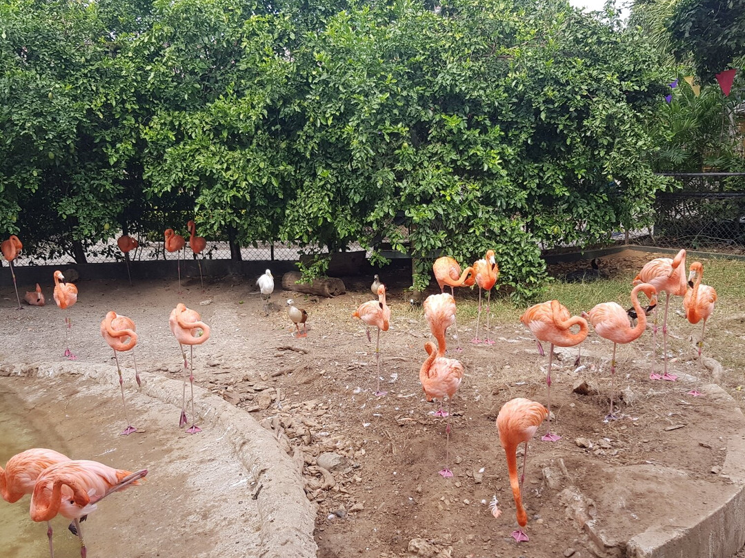 Zoológico De Barranquilla-Barranquilla必去景点