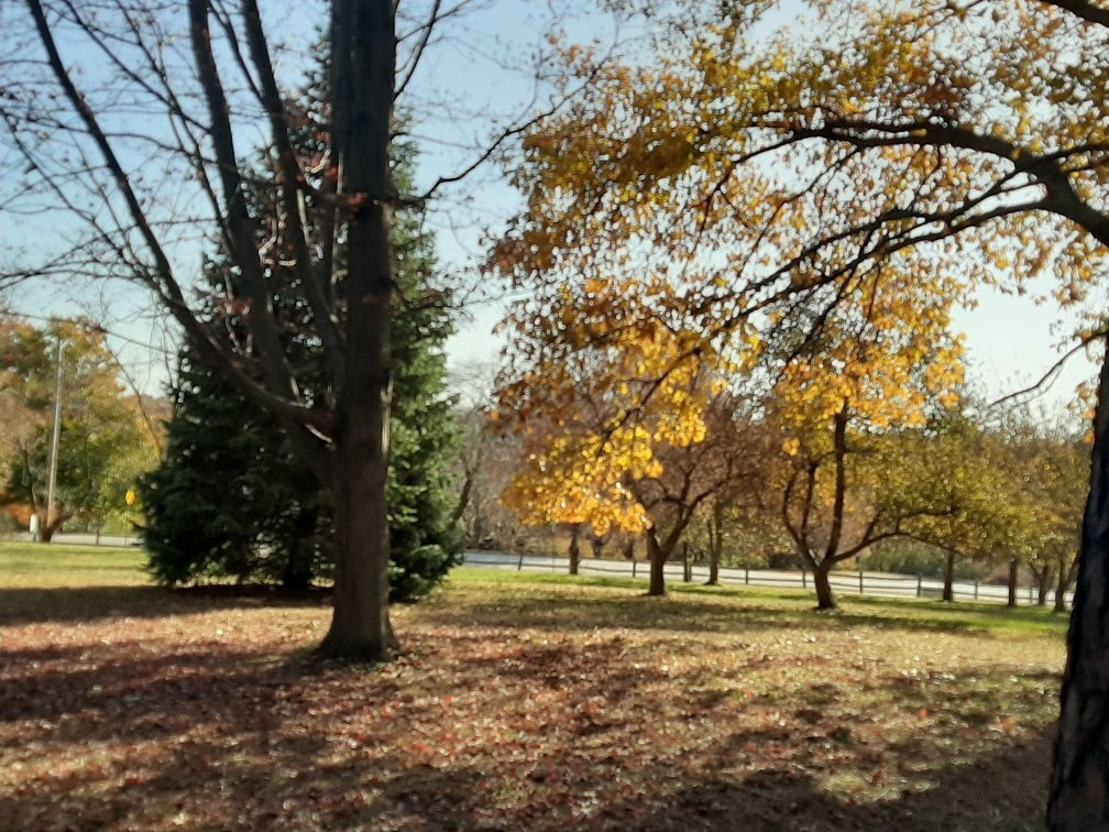 Arbor Lodge State Historical Park-Nebraska City必去景点