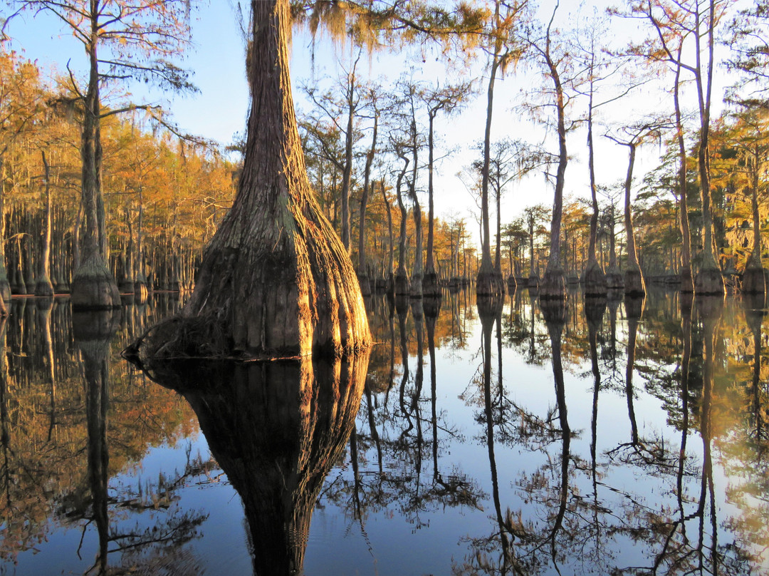 Mill Pond Kayak, LLC-Twin City必去景点