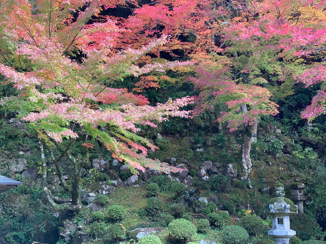 Hori Teien Garden-津和野町必去景点