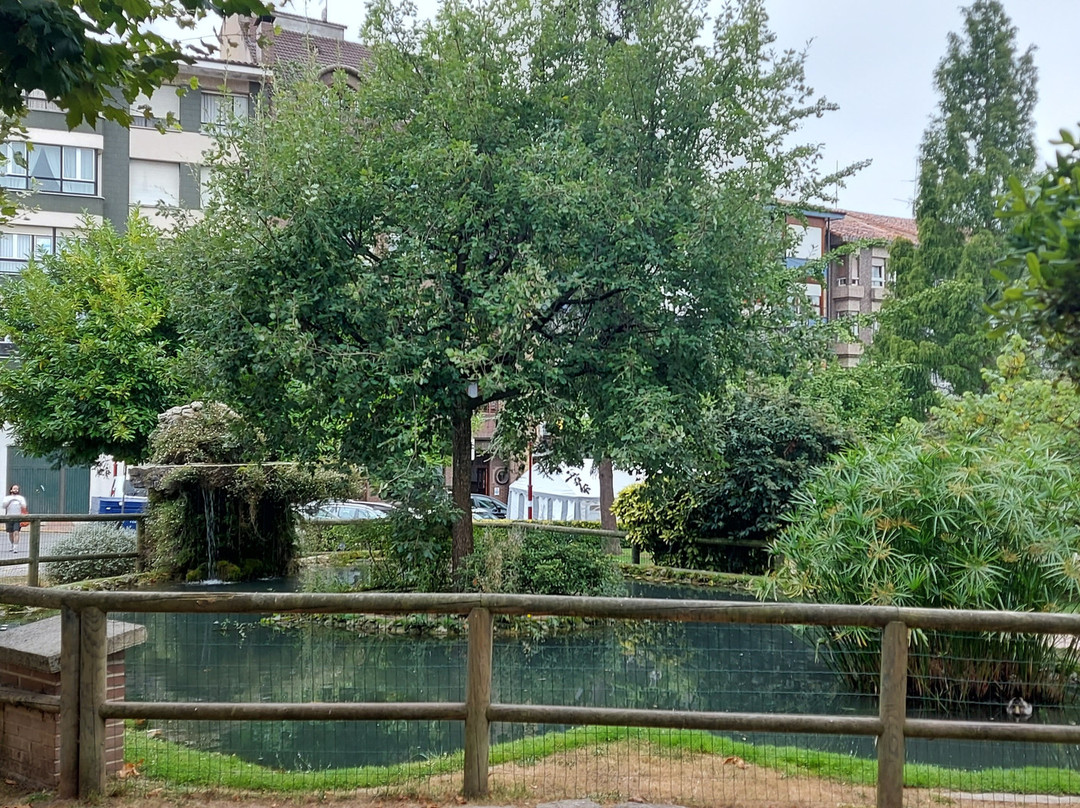 Ballina Park-比拉维西奥萨必去景点