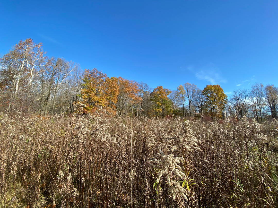 Hogback Ridge Park景点图片