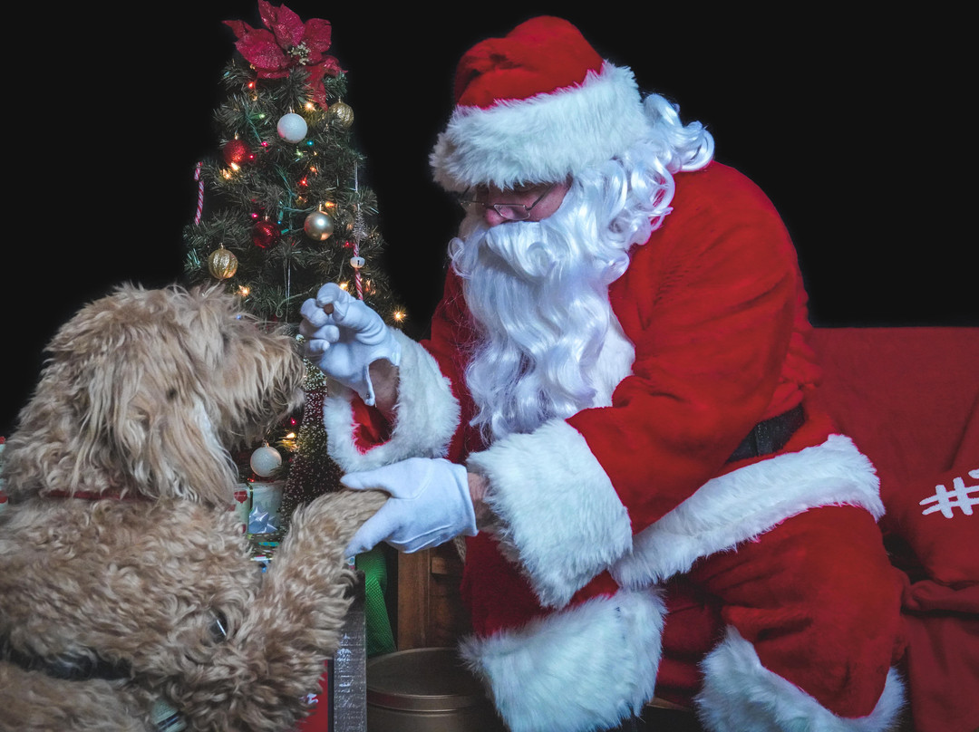 Romero's K9 Club & Tap House-Lafayette必去景点