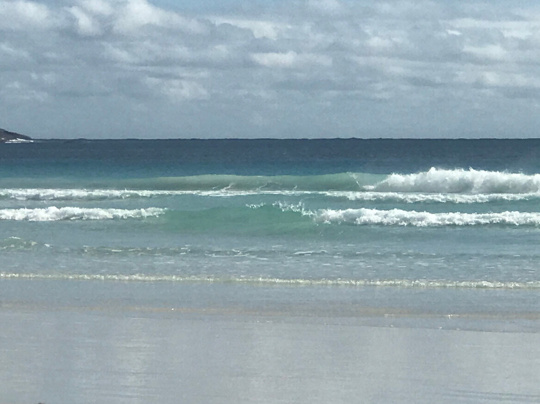 Blossoms Beach Bremer Bay景点图片