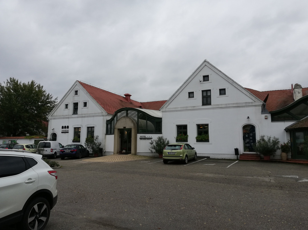 Tornácos Hotel - Hegykő主图