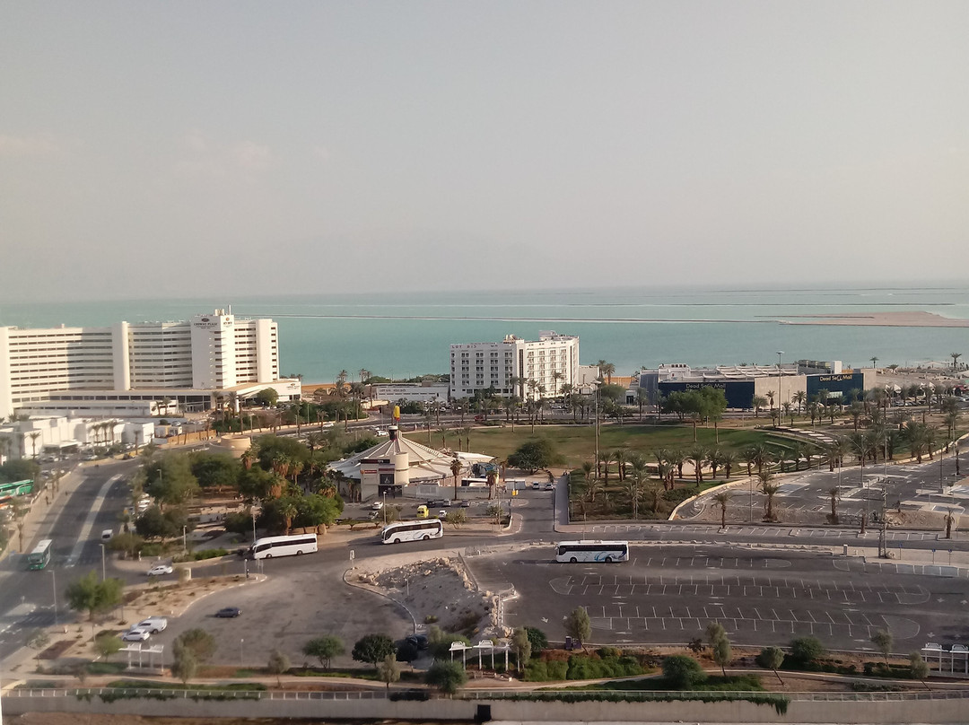 死海艾美酒店主图