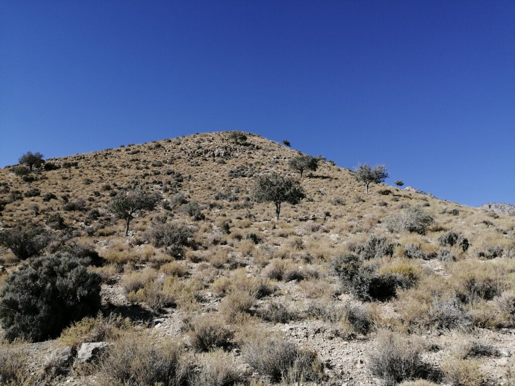 Khabr National Park景点图片
