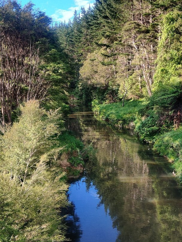 Hunua Falls景点图片