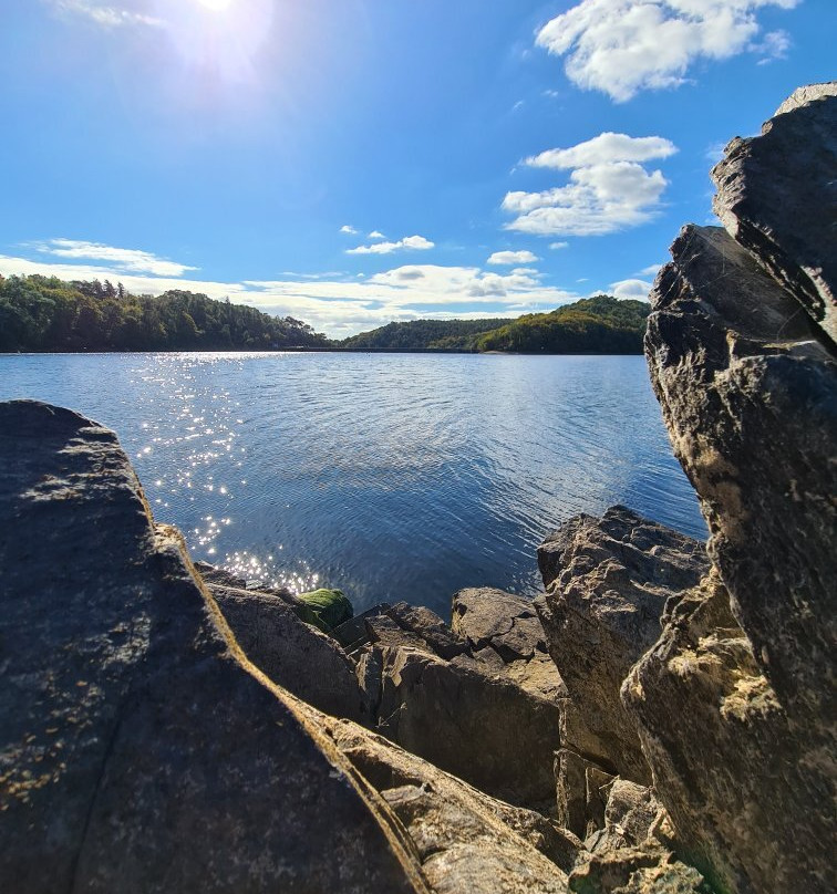 Lac de Guerlédan景点图片