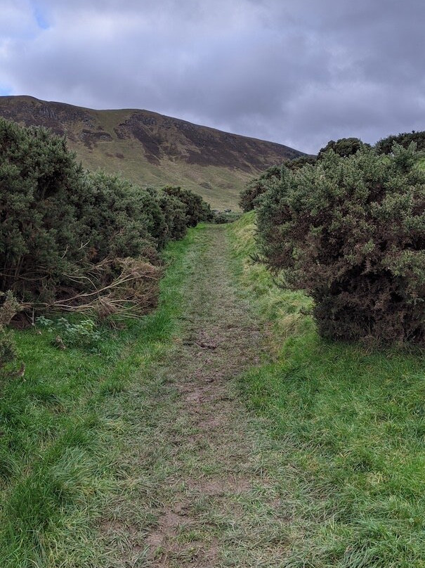 Lomond Hills Regional Park景点图片