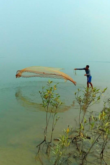 Pakhiralay旅游攻略图片