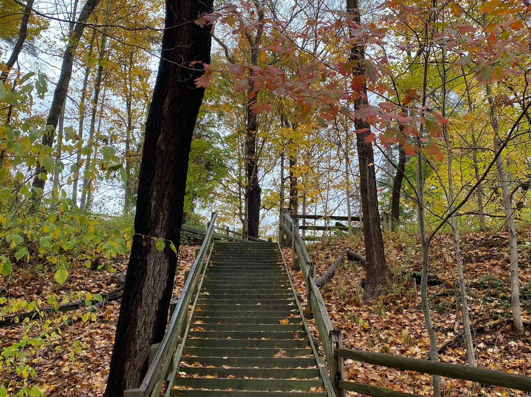 Paine Falls Park景点图片