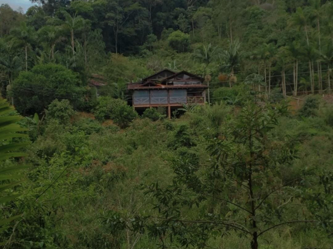 Recanto Primata主图