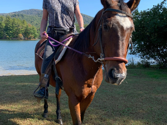 Bent Tree Stables-Jasper必去景点