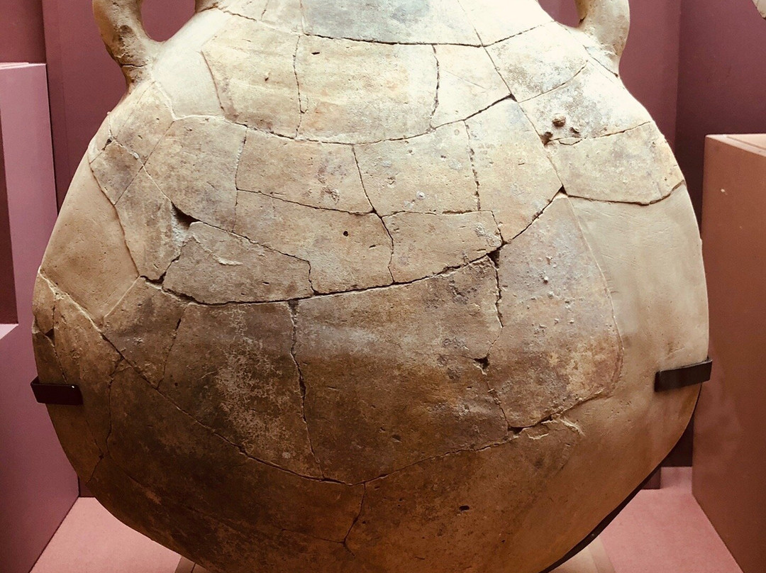 Sharjah Archaeology Museum-沙迦必去景点