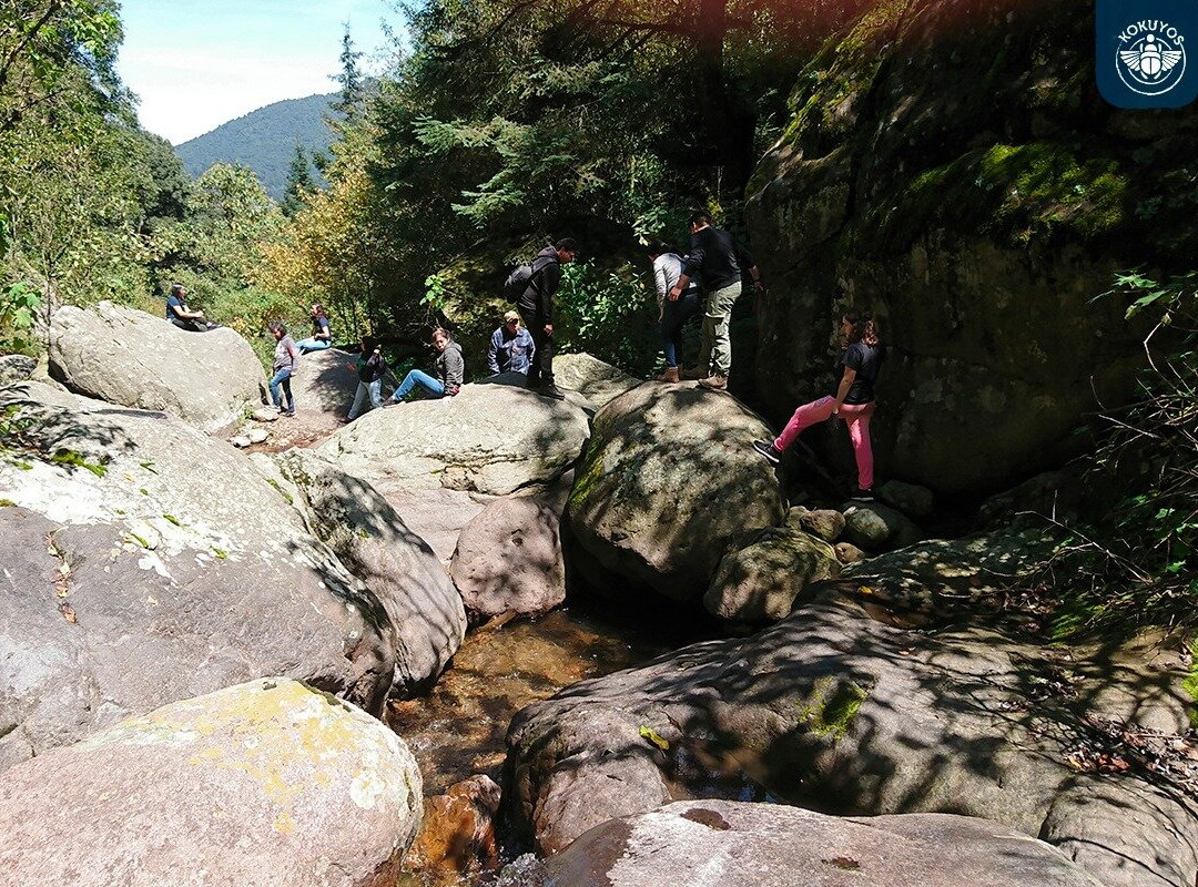 Kokuyos - Estado de México / Senderismo / Recorridos en el bosque / Campamentos-Naucalpan必去景点