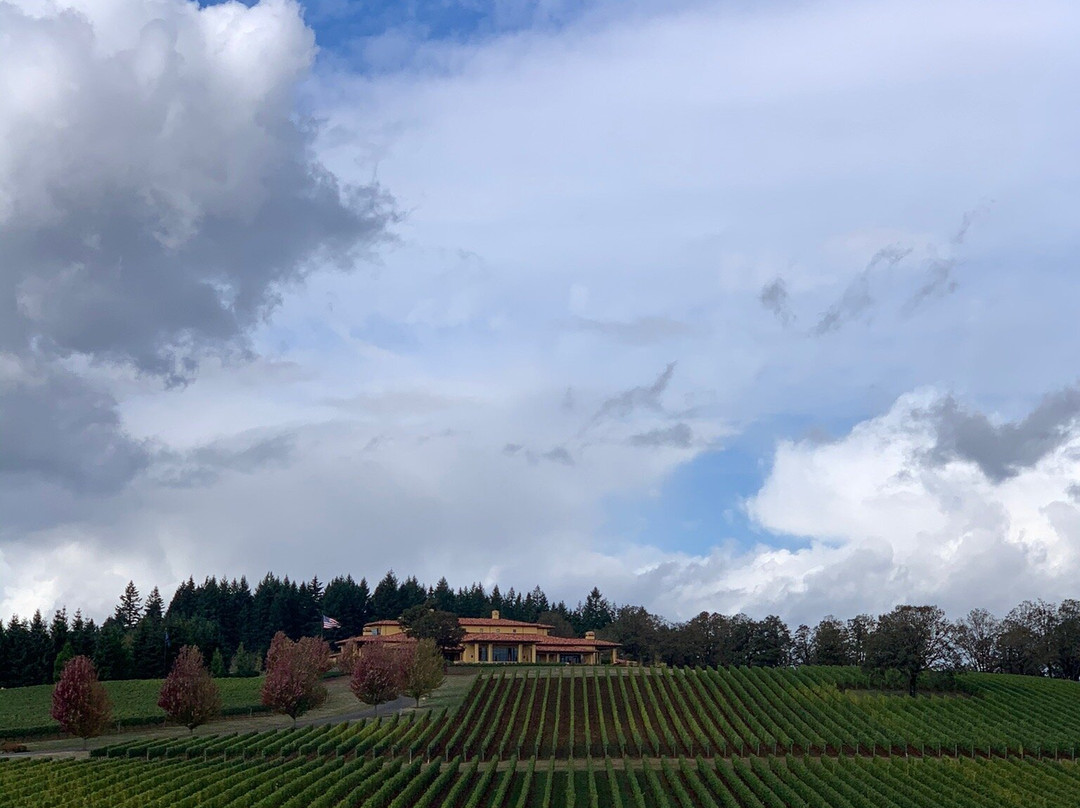 Tesla Custom Winery Tours景点图片