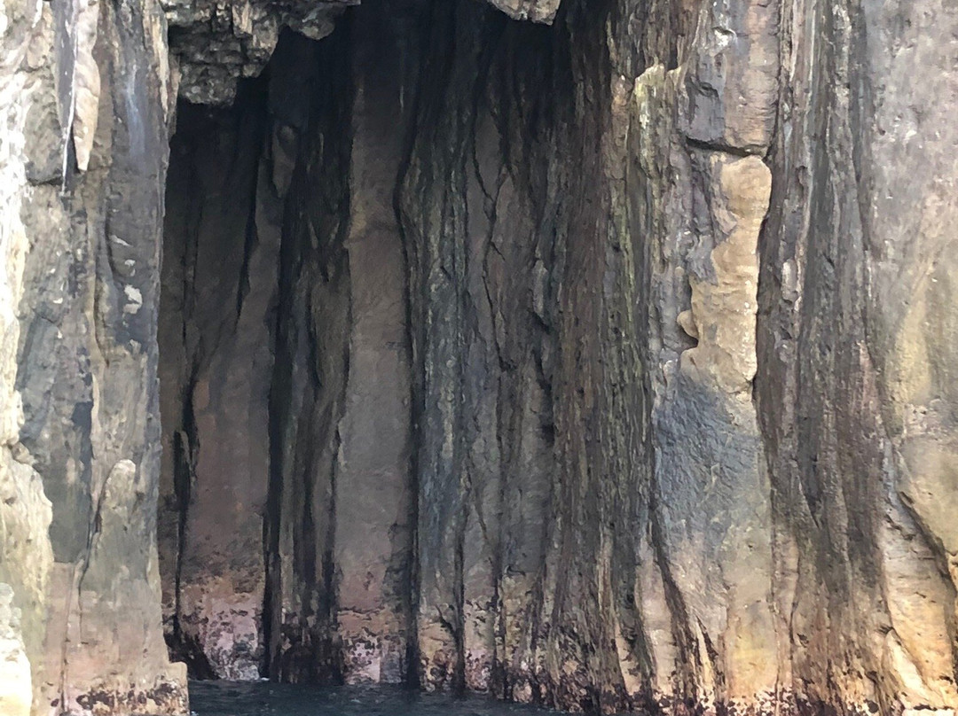 Sea Cave Adventures-菲蒂昂格必去景点