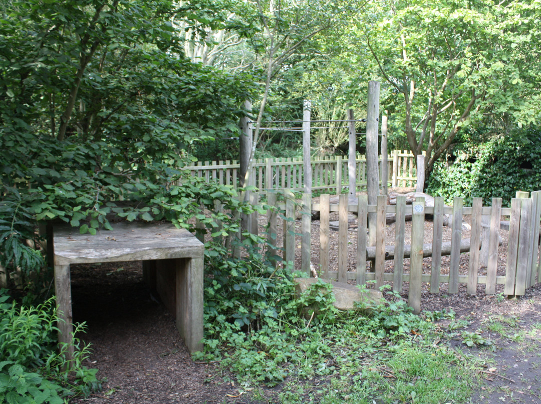 Hauxley Wildlife Discovery Centre-Amble必去景点