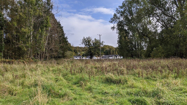 Mauldslie Woods-Carluke必去景点