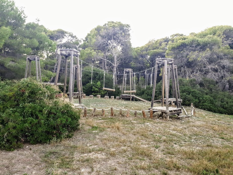Parco Pineta Regina景点图片
