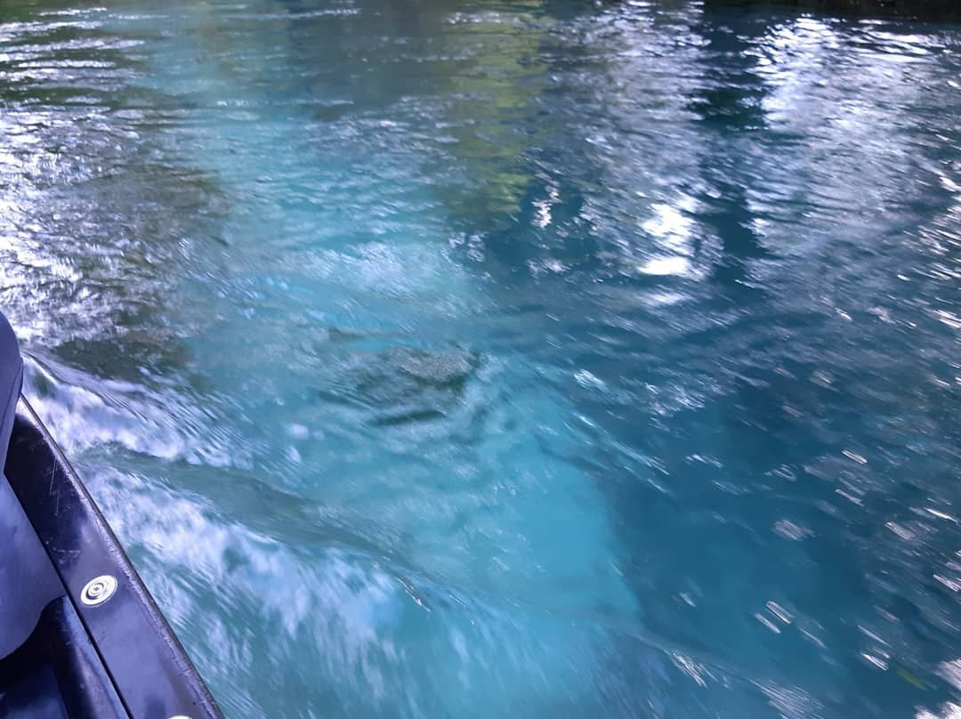 Fiume Tirino景点图片