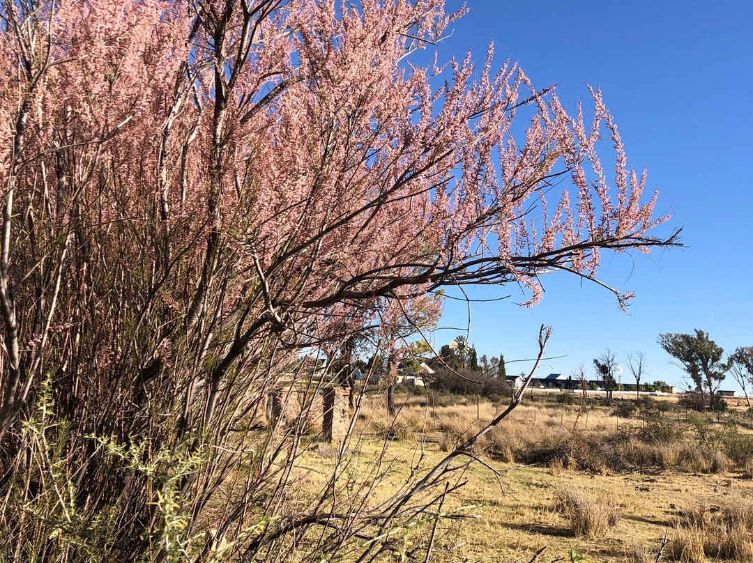 Kuilfontein Stable Cottages主图