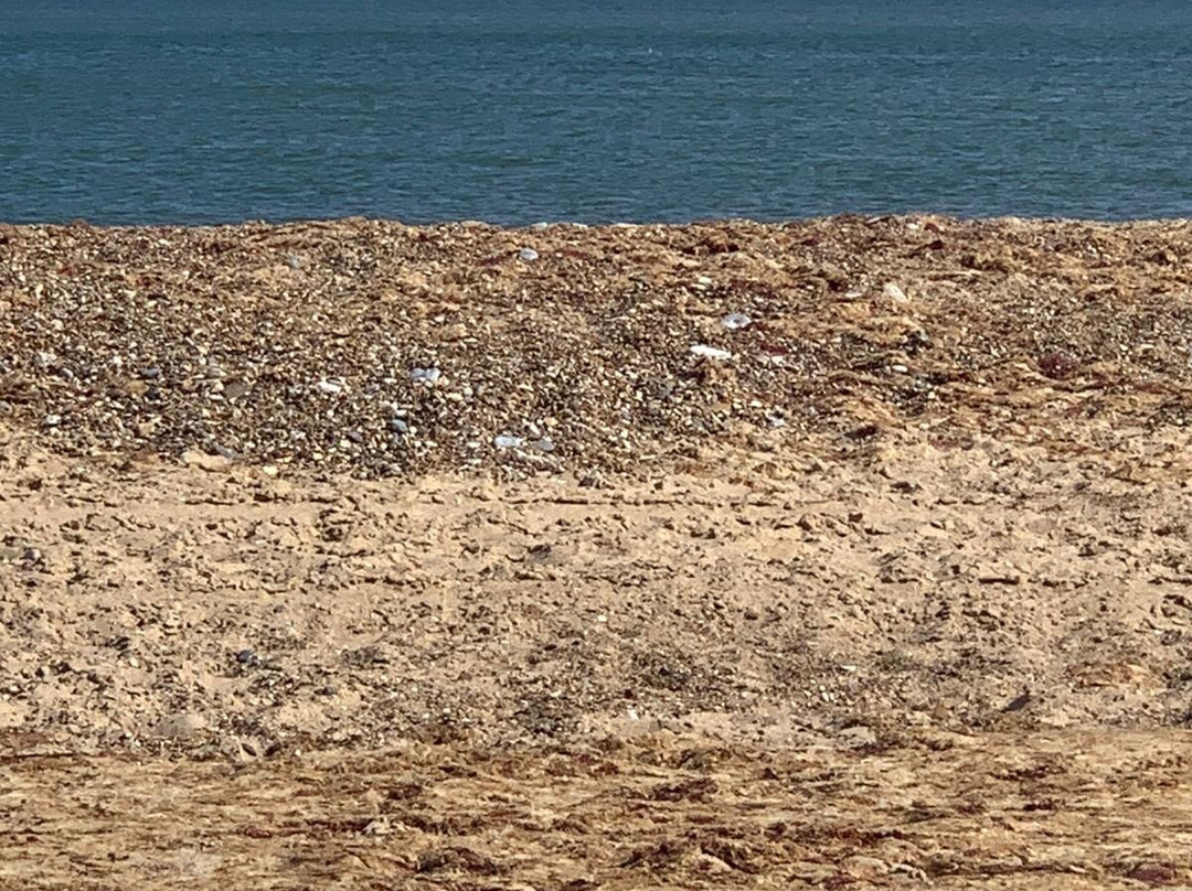 Hemsby Beach景点图片
