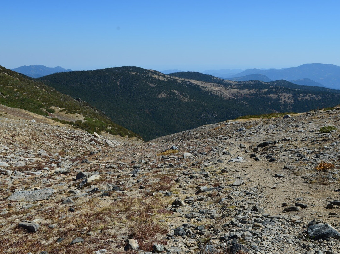 James Peak Wilderness Area Trails-Rollinsville必去景点