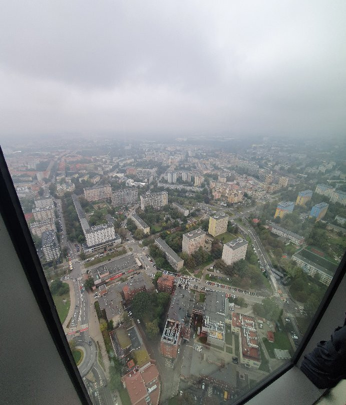 Sky Tower Observation Deck景点图片