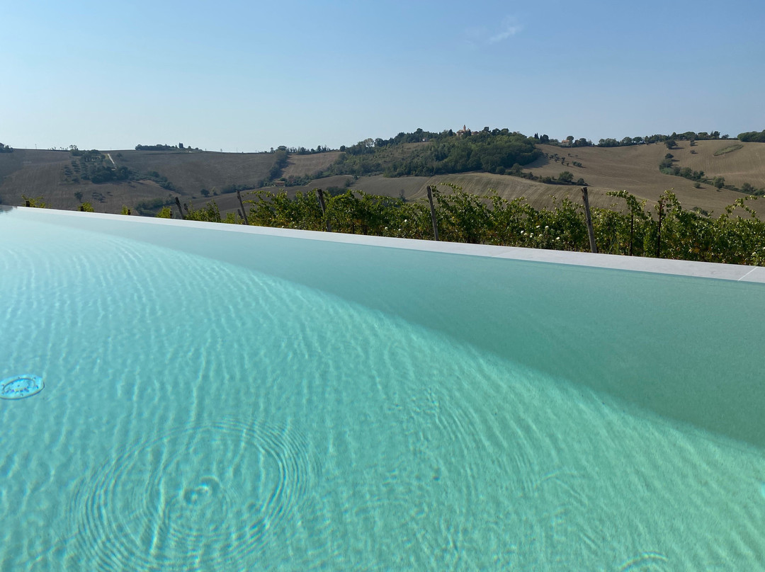 Filodivino Wine Resort & SPA主图