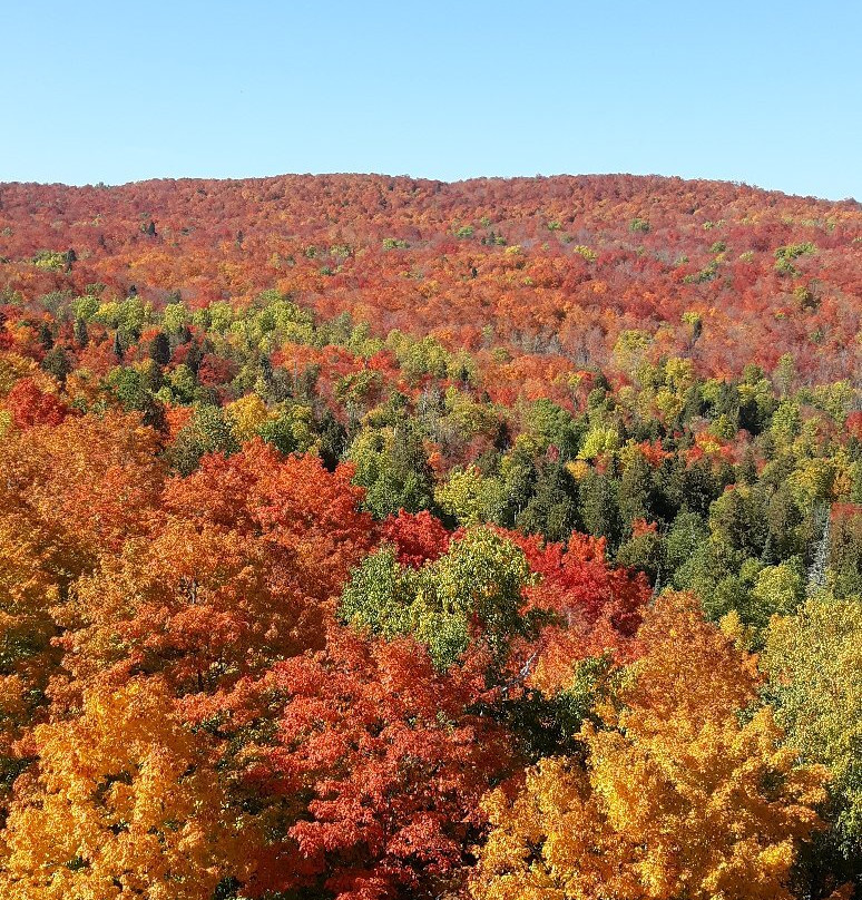 Lutsen Mountain Summit Express-Lutsen必去景点