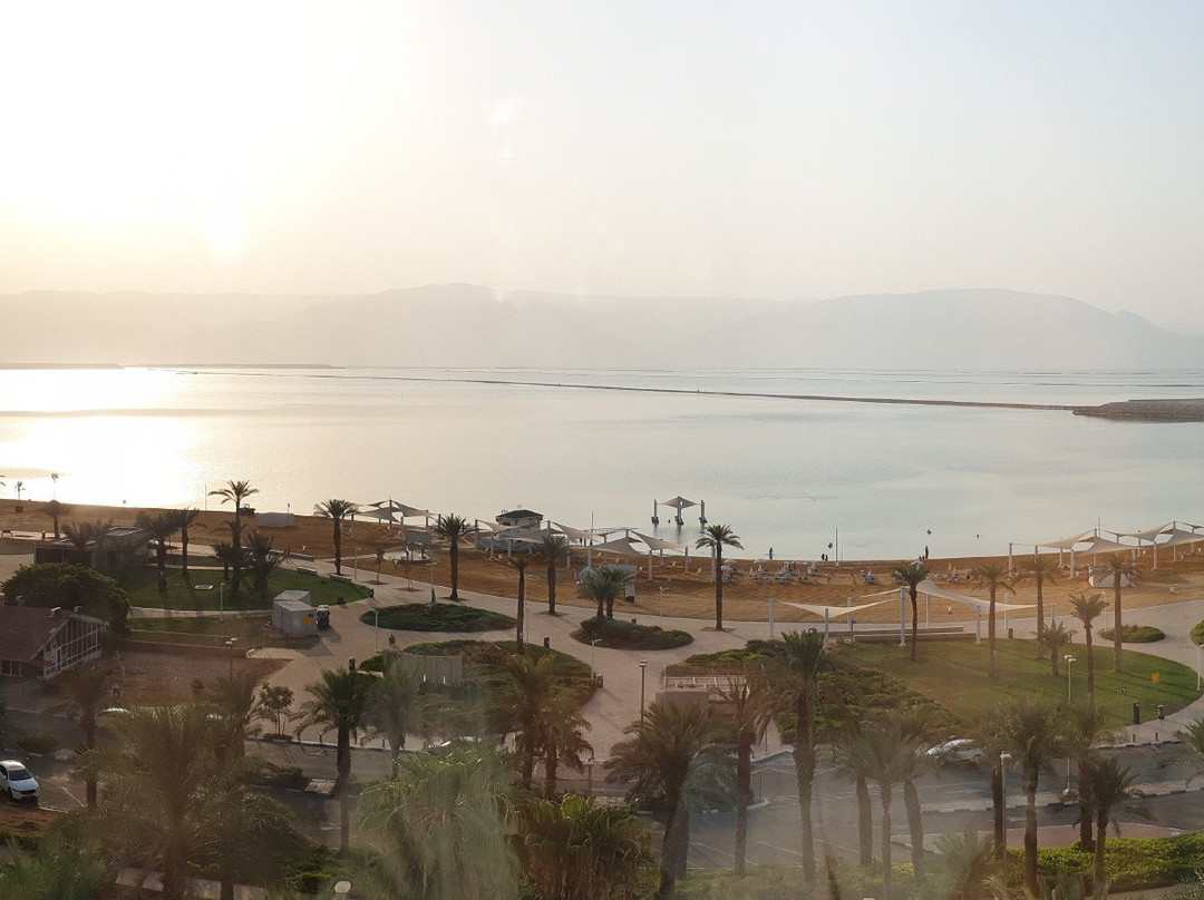 伊斯罗特尔贾尼死海酒店主图