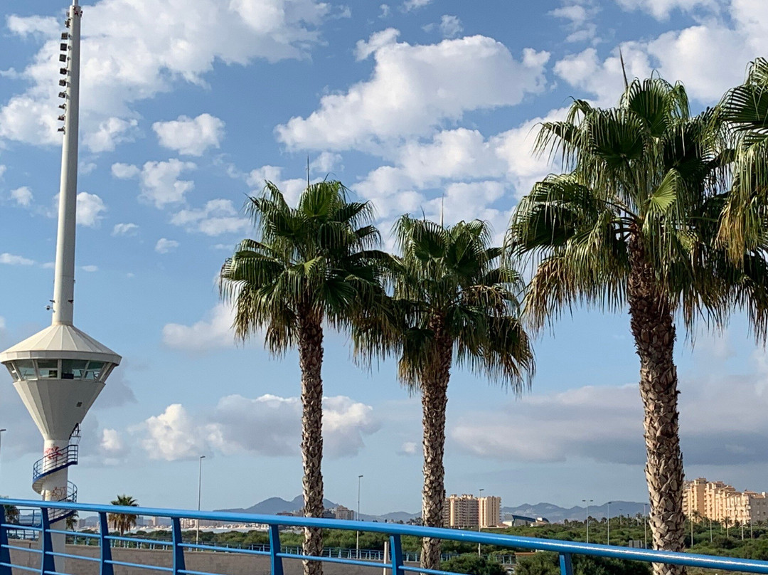 Puerto Deportivo Tomas Maestre-圣哈维尔必去景点