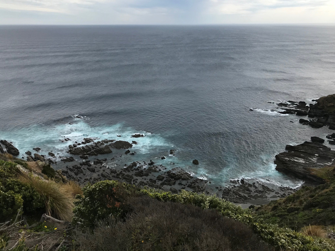 Cape Liptrap Lighthouse-Tarwin Lower必去景点