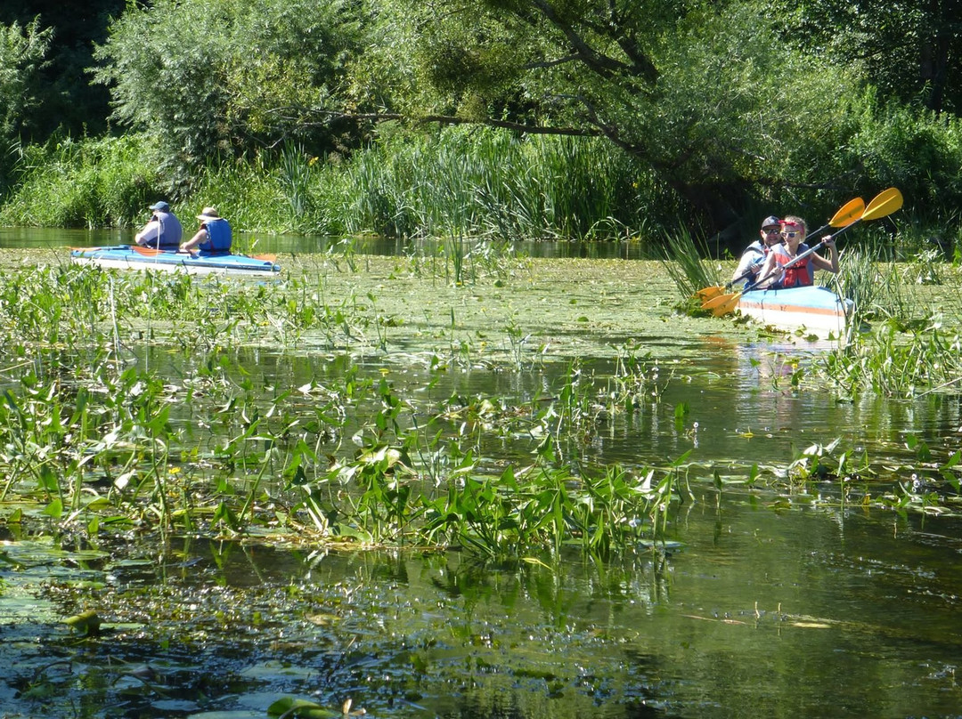 Good Bike-加里宁格勒必去景点