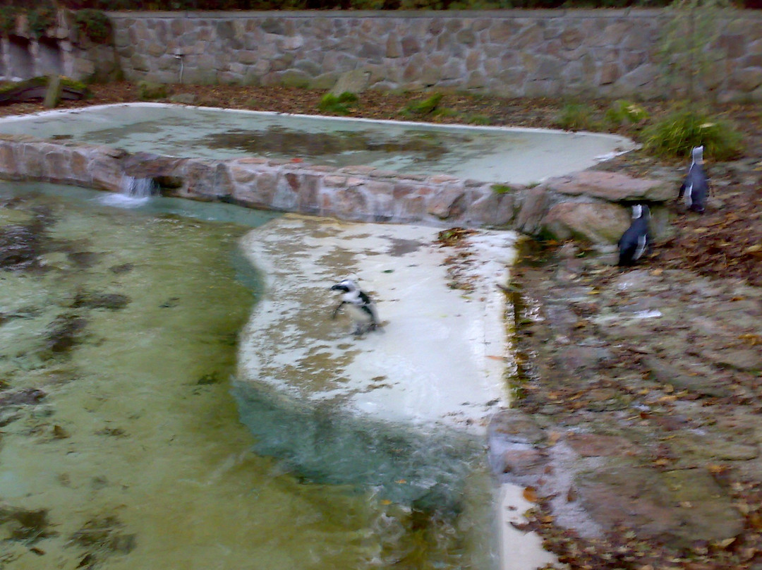 Tiergarten Straubing-Straubing必去景点