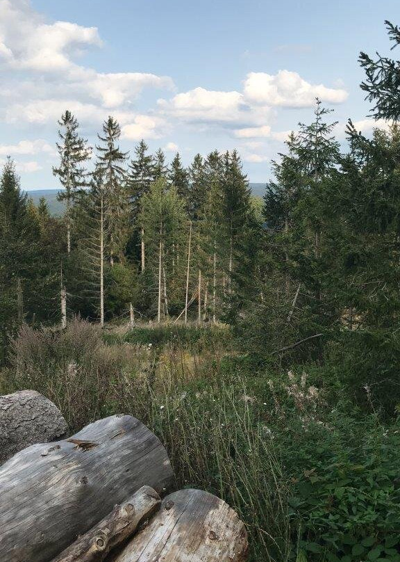 Adlerfelsen