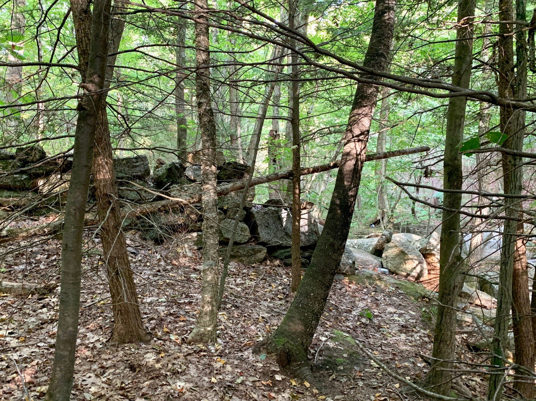 Enders Falls-Granby必去景点