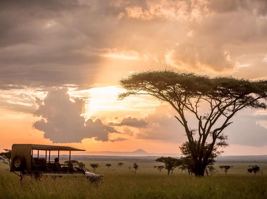 iloveafrica.travel-桑给巴尔岛必去景点
