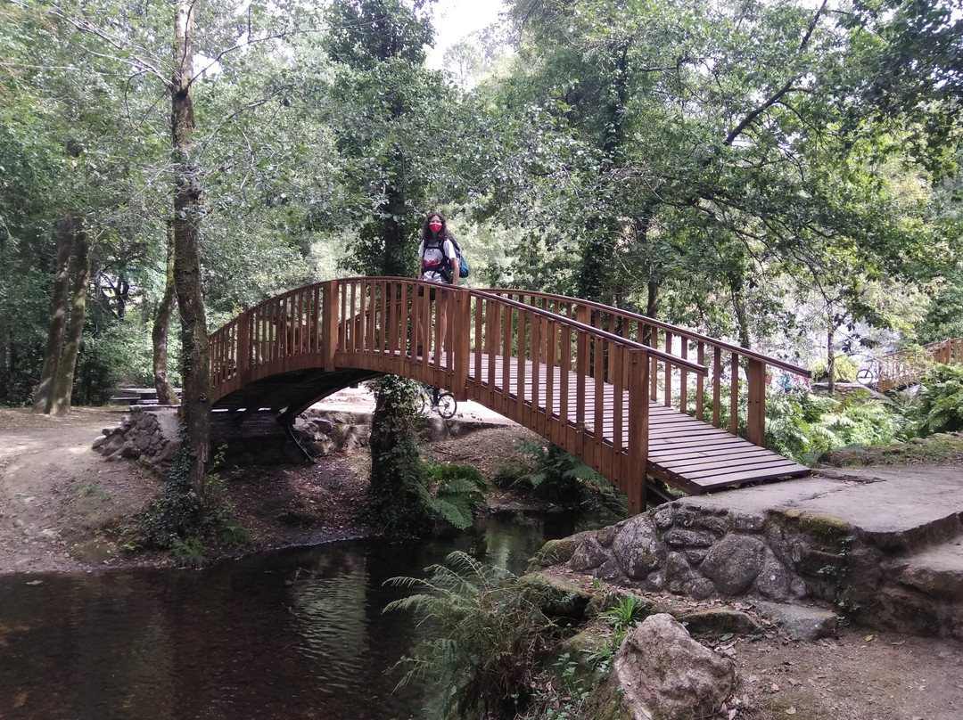 Parque Natural Ria Barosa景点图片