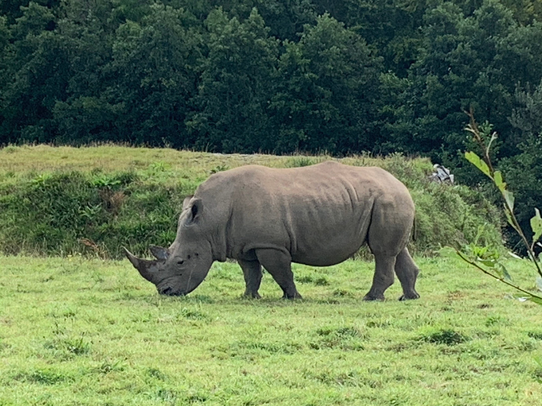 Manor Wildlife Park景点图片