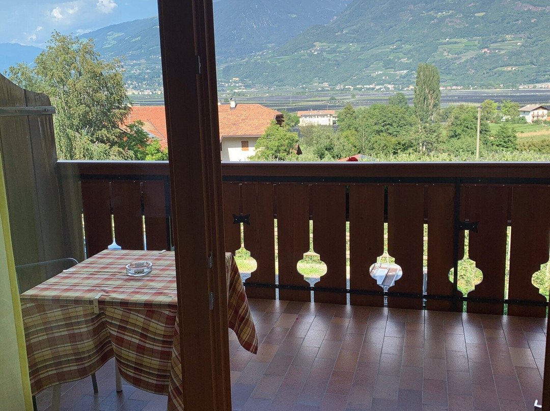 Pension Weihergut主图