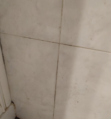 Borgo San Pecoraio主图