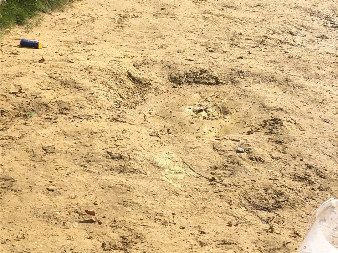 Cotswold Country Park & Beach景点图片