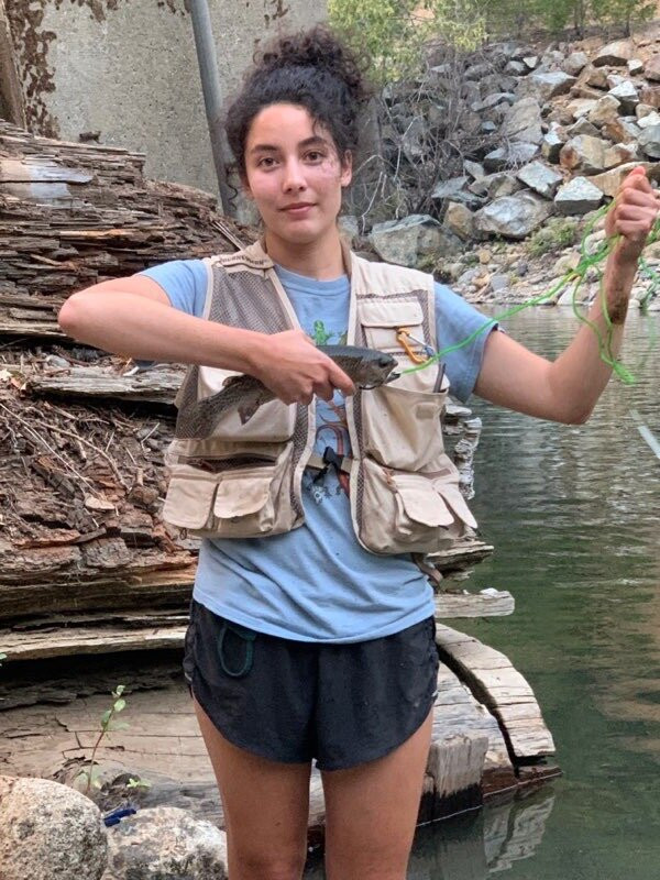 Trinity Alps Resort