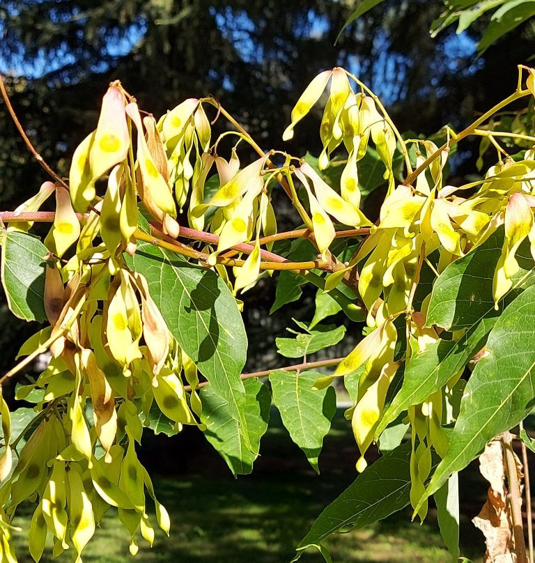 Villa Vertua Masolo-诺瓦米拉内塞必去景点